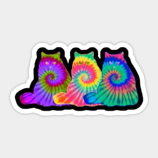 three colorful cats Sticker